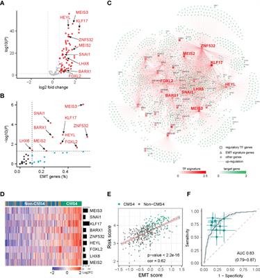 A Transcription Factor Signature Can Identify the CMS4 Subtype and Stratify the Prognostic Risk of Colorectal Cancer